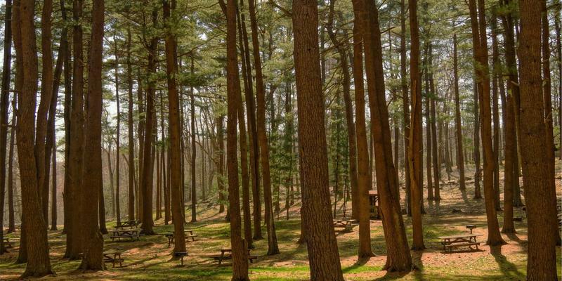 从河南光彩工业看中部崛起：防爆灯与LED工矿灯如何驱动工业电气产业链协同升级