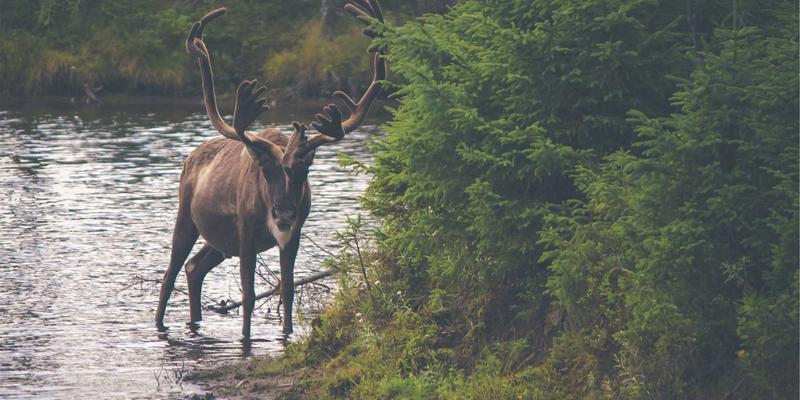 河南光彩工业17：专业照明解决方案，为工业安全与效率保驾护航