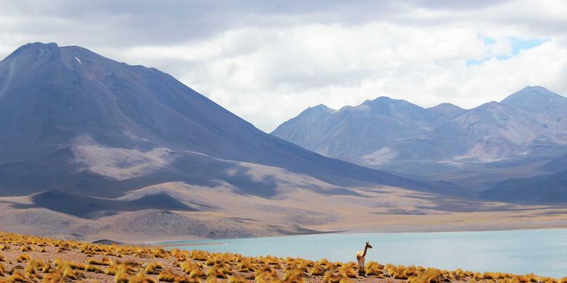 河南光彩工业69：聚焦LED工矿灯与防爆灯，打造专业电气产品解决方案