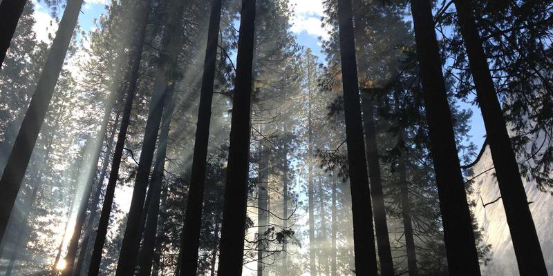 河南光彩工业:专业防爆灯解决方案,照亮工业安全与效率之路