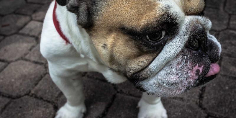 河南光彩工业：以本土化服务网络赋能全国大型基建项目照明工程