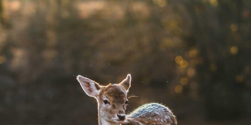 河南光彩工业：城市综合管廊智慧照明与监控一体化解决方案，防爆灯是关键