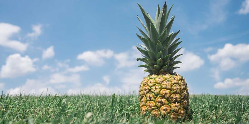 河南光彩工业：大型体育场馆与会展中心专业照明设计与实施，工业照明与防爆灯解决方案专家