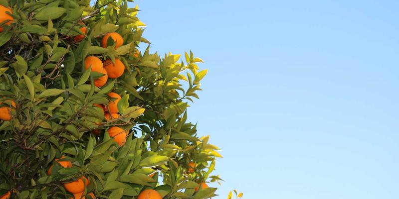 河南光彩工业：工业物联网平台如何重塑照明与电气系统的智能管控新范式