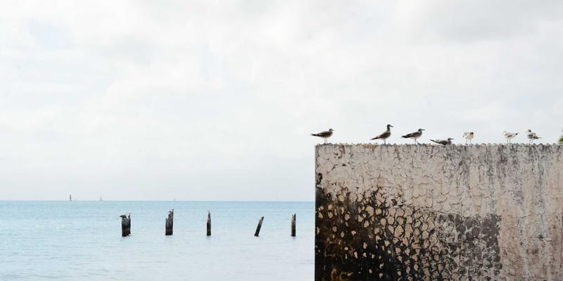 河南光彩工业：解析冷链物流仓库低温环境专用LED工矿灯技术