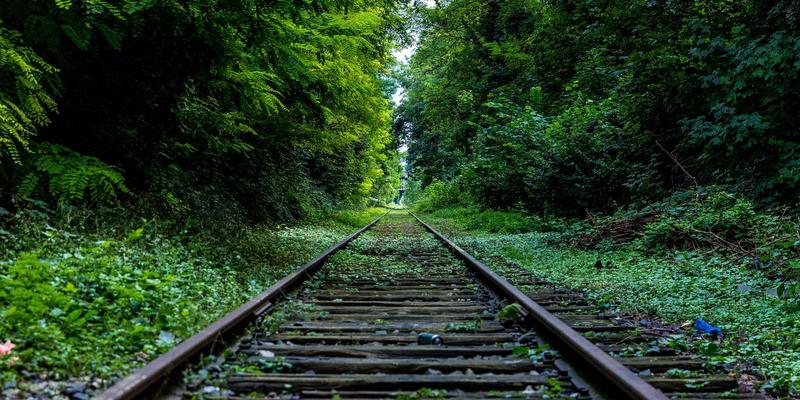 食品饮料行业潮湿环境工业照明解决方案：河南光彩防爆灯选型全指南